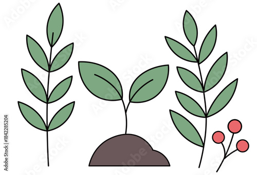 Growing Seedling and Botanical Elements Symbolizing Eco Nature and Sustainable Environment