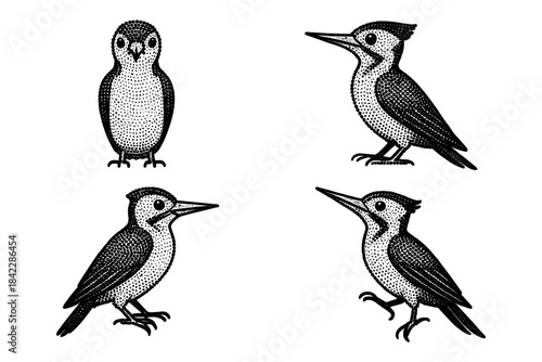 Vintage dot art of distinctive birds with retro stippling technique