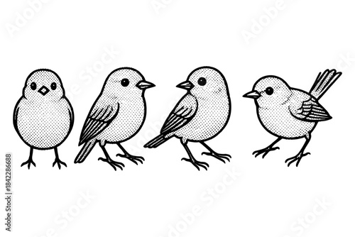 Vintage style dotwork birds in various poses