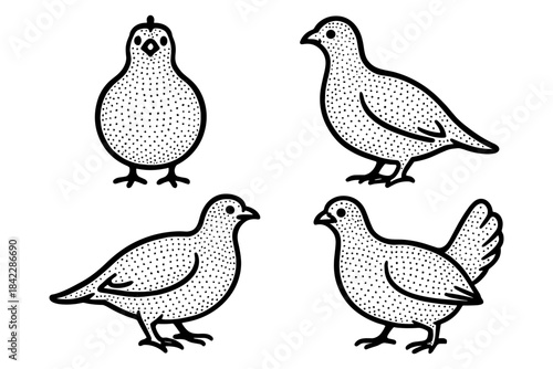 Hand drawn stylized birds collection with vintage dot work design