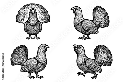 Intricate vintage bird designs: artistic black and white dotwork of four unique birds