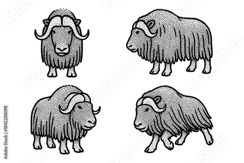 Hand drawn musk ox set with intricate dot patterns in vintage style