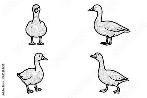 Detailed dot artwork of geese in various poses