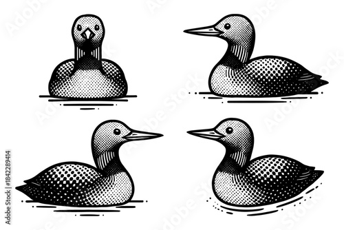 Vintage halftone ducks in water collection