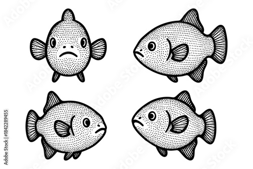 Hand drawn fish collection featuring four distinct vintage style renderings