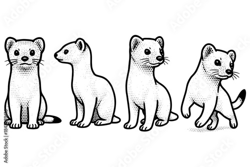 Vintage style hand-drawn ferrets set in black and white design