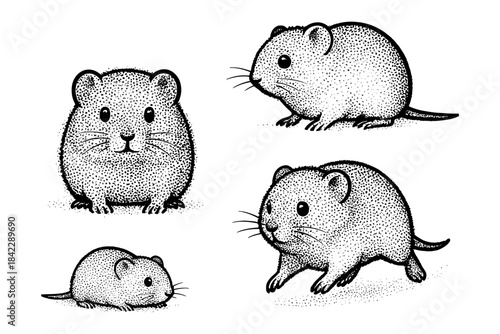 Hand drawn dot style cute mice illustrations on white background