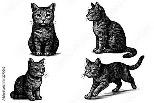 Intricate black and white cat engravings in various poses