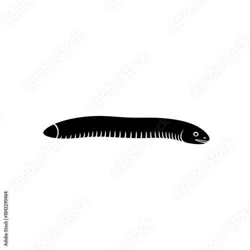 Blackworm icon on white background