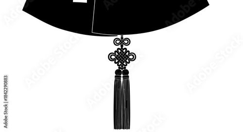 Elegant black hat with intricate tassel design, traditional attire.