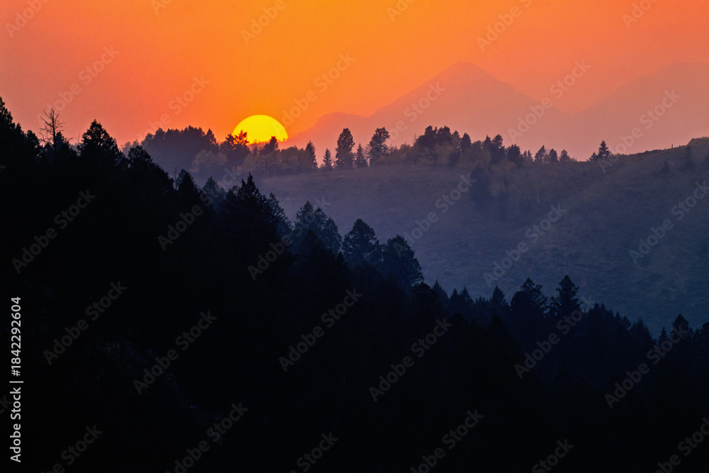 Fototapeta premium Rolling landscape at sunset light in a woodland
