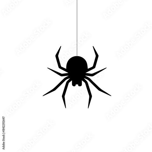 Silhouette of a Spider Hanging
