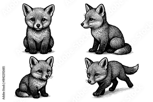Charming black and white ink drawing of playful fox cubs in various poses