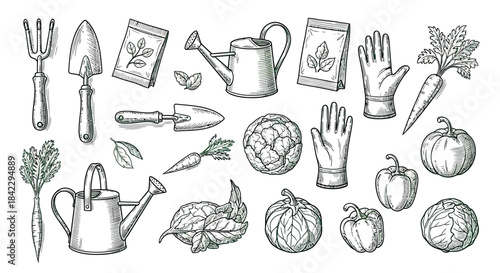 Gardening Tools and Vegetables Illustration
