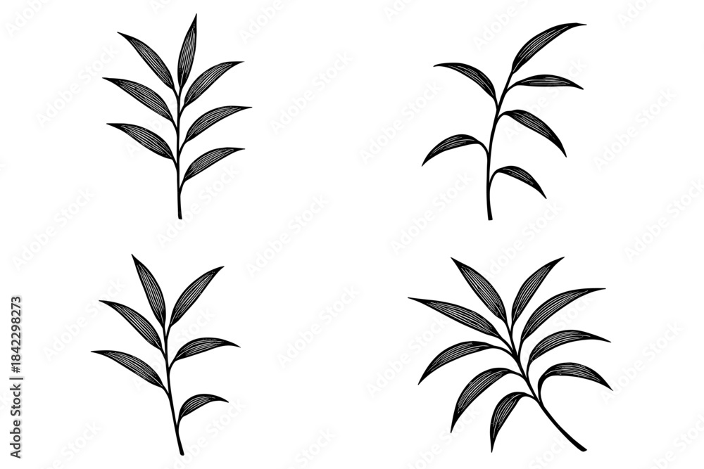 Naklejka premium Elegant black and white botanical leaf set in hand drawn style