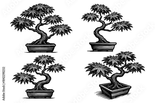 Intricate black and white sketch of bonsai trees: artistic nature details