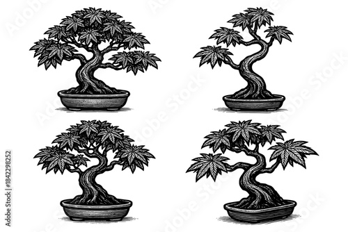 Elegant inked bonsai trees in classic black and white design