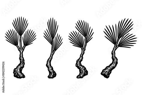Hand drawn palm trees set with curved trunks in monochrome