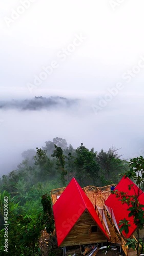 Foggy Morning Drifting Through Dense Mountain Forests