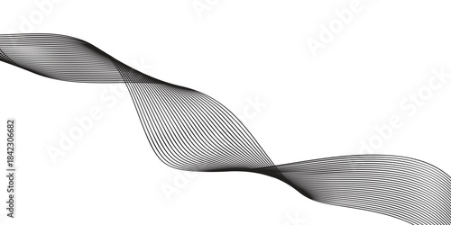 black tie isolated on white