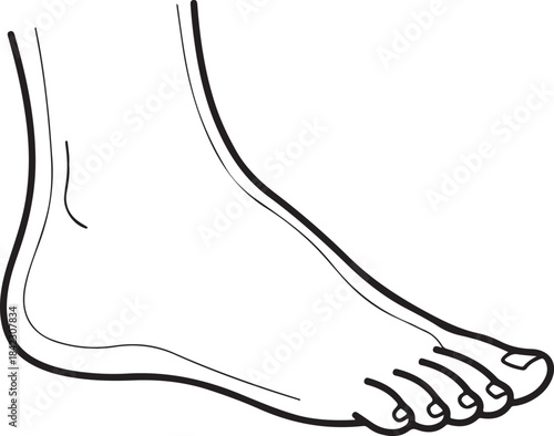 Outline silhouette of a human foot and ankle isolated on transparent background