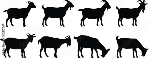 Silhouettes of eight goats in varied poses and orientations, ideal for animal anatomy, farming, and design themes.