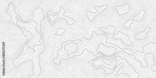 Modern Minimal Terrain Mapping Pattern
Long Flowing Contour Lines Representing Organic Landscape Shapes