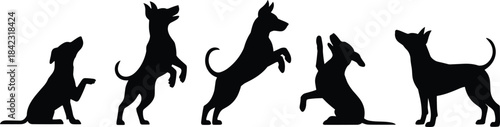 Silhouettes of five playful dogs in dynamic poses, ideal for pet training, movement studies, and design themes.