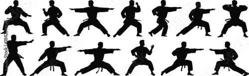 Silhouettes of fourteen martial artists in diverse stances wearing uniforms and belts for sports, posture, and design reference