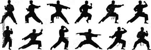 Silhouettes of martial artists in diverse stances, black illustration showcasing discipline, technique, and dynamic movement