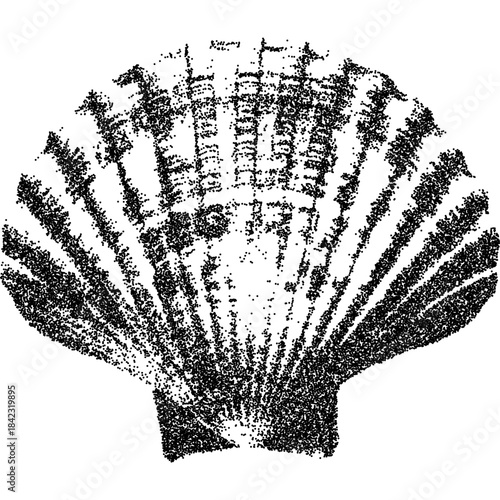 Distressed stipple scallop, black grain texture of sea shell. Grunge photocopy noise effect on white background, vector illustration