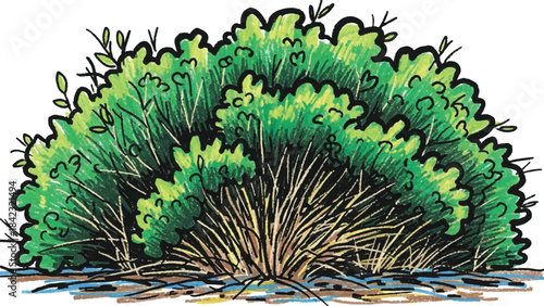 Detailed Hand-Drawn Illustration of Vibrant Green Shrub with Exposed Brown Roots and Ground