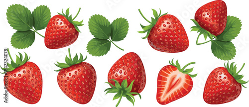  Realistic Strawberry Vector Collection Featuring Whole and Sliced Berries with Green Leaves, Illustrating Freshness, Summer, Healthy Food, and Natural Dessert Ingredients..