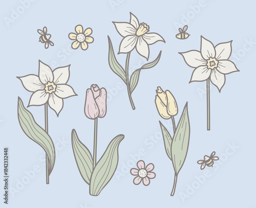 Spring Flowers Tulips, Daffodils and Chamomile with Bees Hand Drawn. Pastel Color Doodle Set. Isolated Botanical Garden Plants. Vector illustration. Not AI