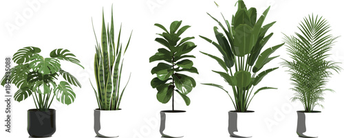 Set of Green Houseplants in Pots. Flat Vector Illustration of Indoor Plants Collection for Home and Office Decoration.