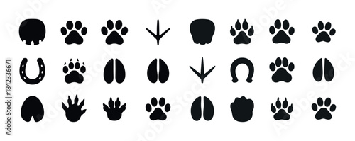 Collection of diverse animal tracks in silhouette icons