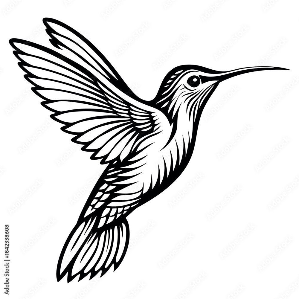 Fototapeta premium hummingbird-silhouette-with-white-background 