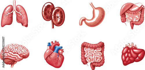 Set of Cute Cartoon Dogs and Cats. Collection of Happy Funny Pet Characters Vector Illustration.