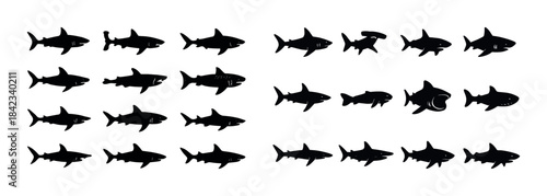 Variety of shark silhouettes: diverse shapes and species in blac