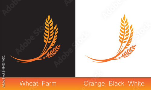 Vector Set of Wheat and Grain Icons