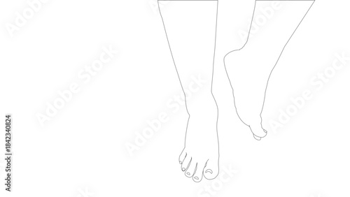 Bare woman feet and legs on white background