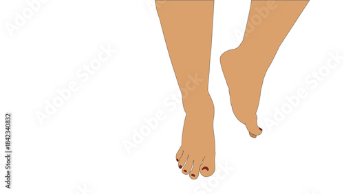 Bare woman feet and legs on white background