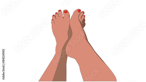Bare woman feet and legs on white background