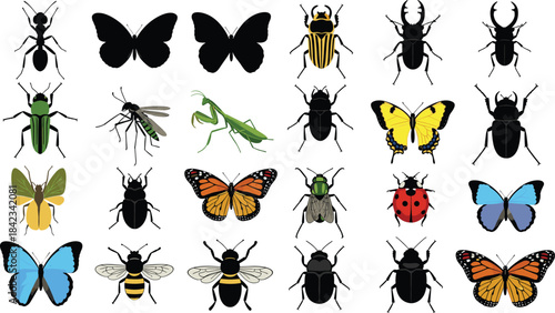 Insect, bug, ant, butterfly, beetle, bee, fly, mantis, ladybug, cartoon, colorful, vector, icon, silhouette, species, nature, biology, animal, illustration, design