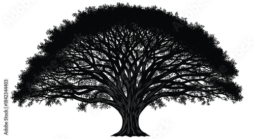 A striking black silhouette of a majestic, sprawling tree with a wide, dense canopy and intricate branches, isolated on a white background.