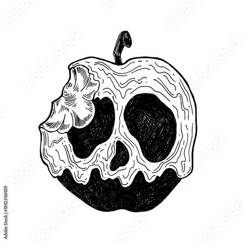 Poison apple skull hand drawn vector illustration. Bitten toxic apple in engraving sketch style. Black line art isolated on white background. Witch and magic item vintage illustration poisoned apple