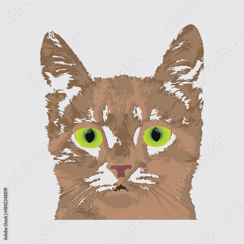 Vector illustration cat face striking green eyes detailed furry texture digital artwork cute feline portrait