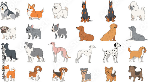 Cute cartoon dog breed collection featuring husky, corgi, doberman, poodle, pug, dalmatian, beagle and various puppy illustrations