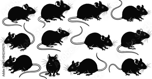 A detailed vector collection featuring twelve black silhouettes of various mice and rats in different poses, suitable for wildlife, pest control, and laboratory animal concepts
