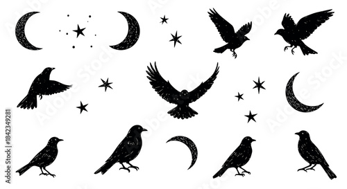 Black silhouettes of birds, moons, and stars on white background